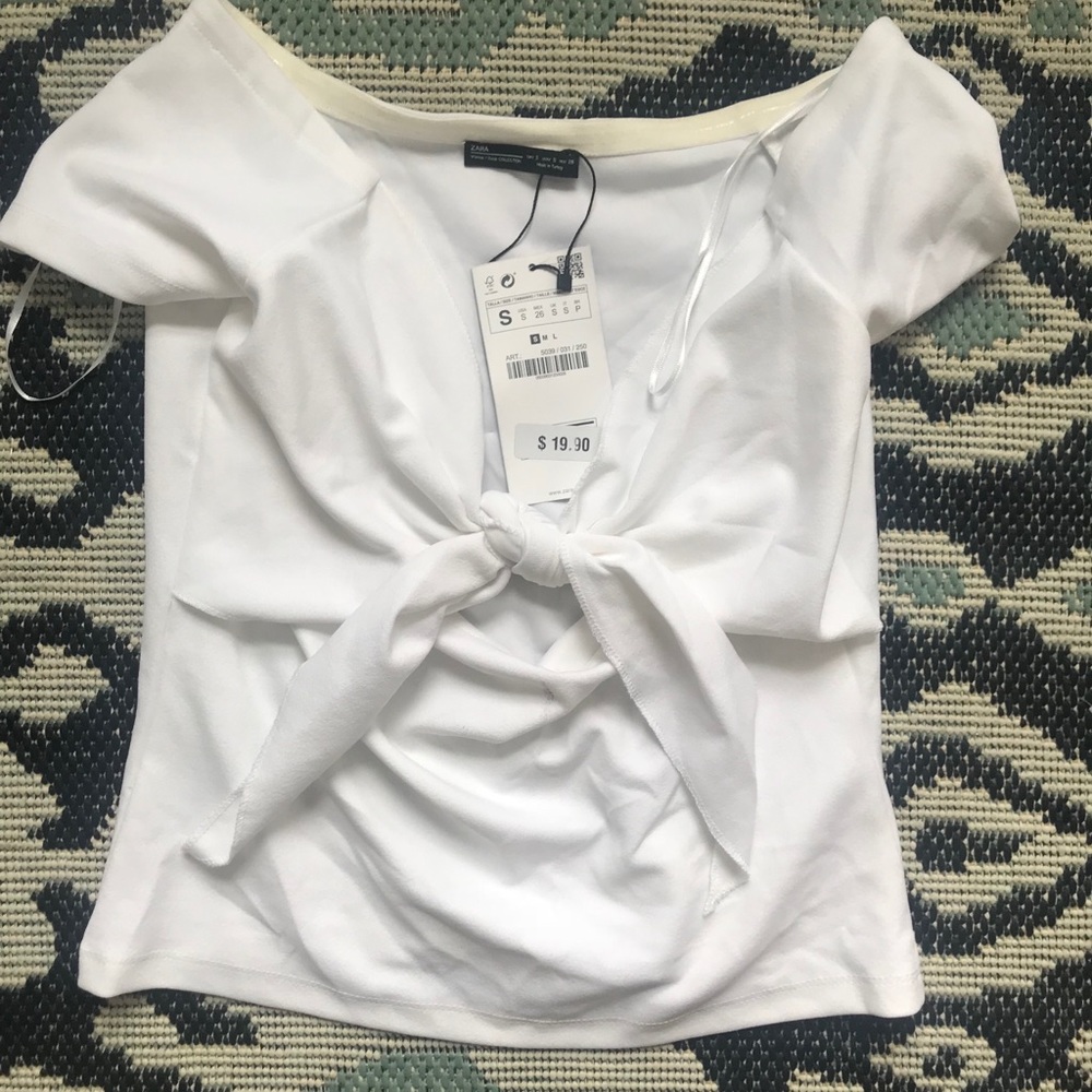 Zara crop top